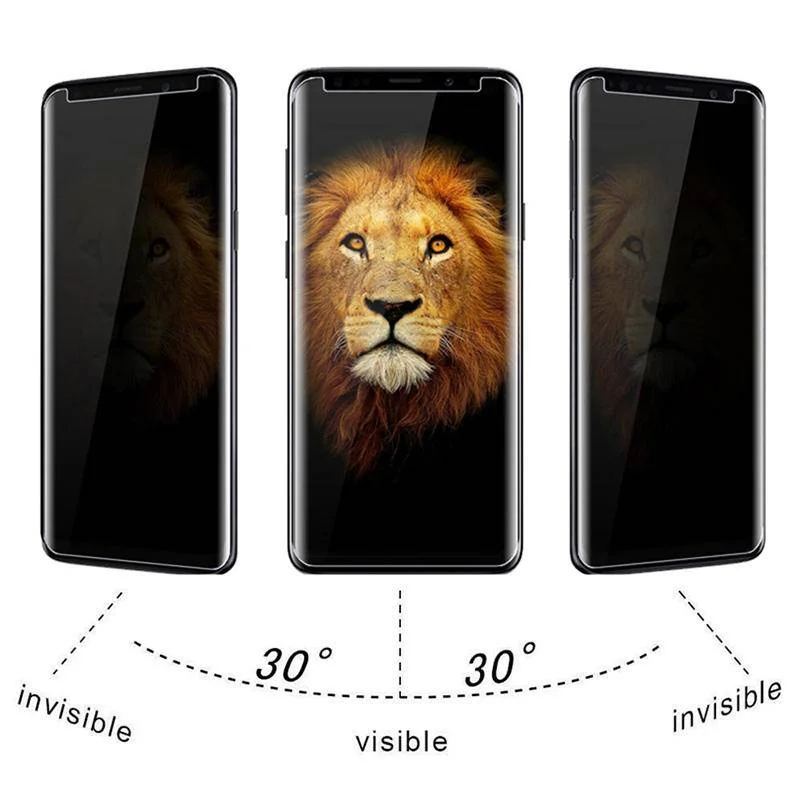2 buah Pelindung Layar Kaca An - Anti Spy Privacy Glass Case ulasan dan harga